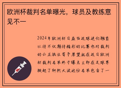 欧洲杯裁判名单曝光，球员及教练意见不一